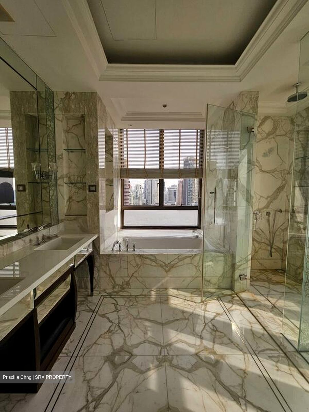 Parkview Eclat (D10), Condominium #500006821